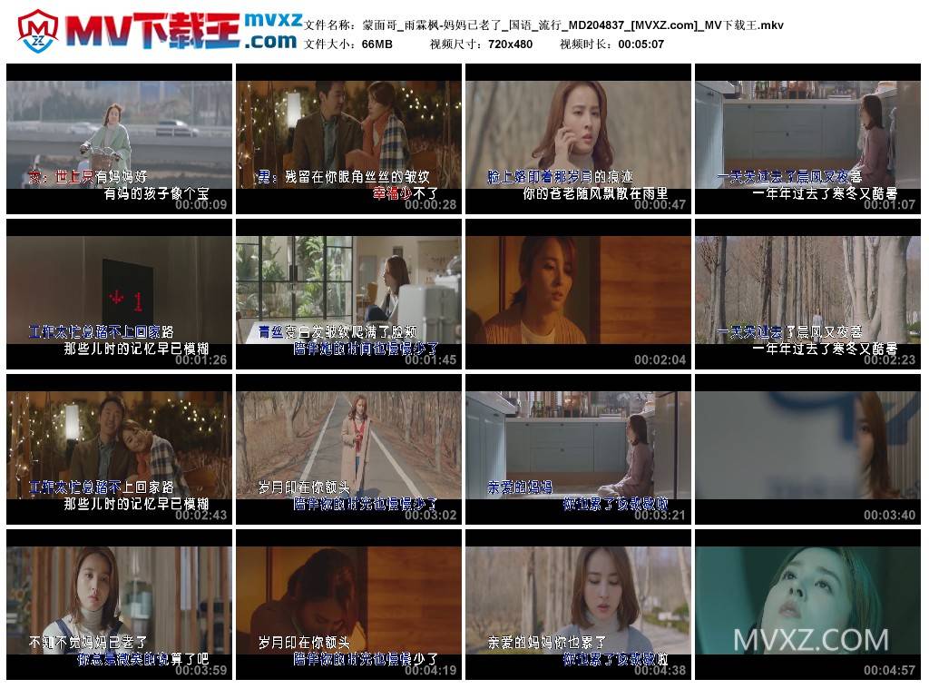 蒙面哥_雨霖枫-妈妈已老了_国语_流行_MD204837